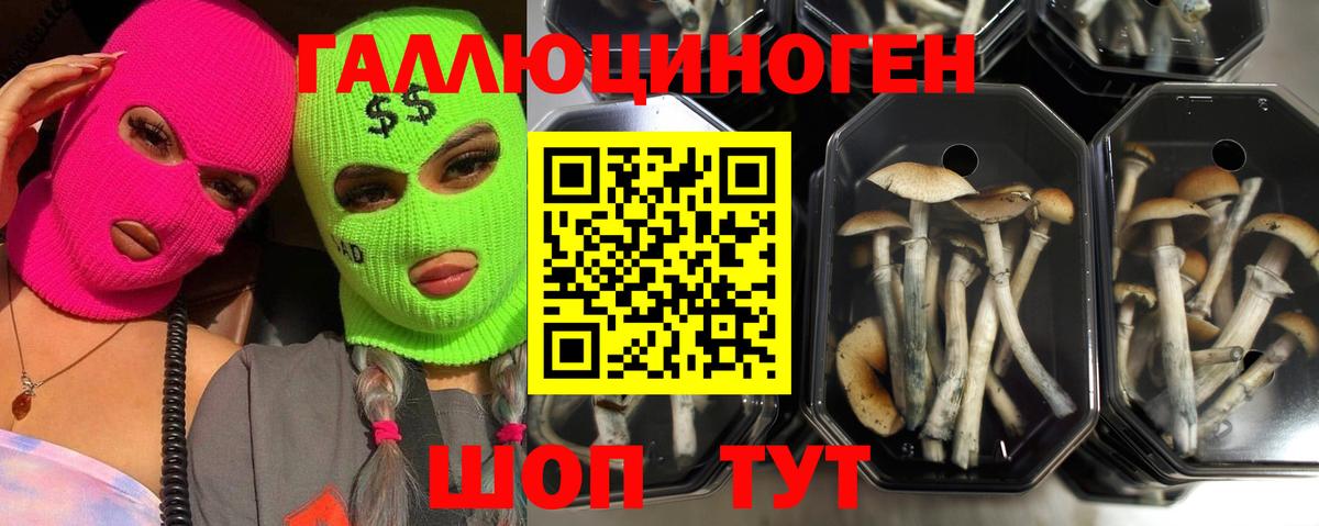 Галлюциногенные грибы прущие грибы Бугуруслан